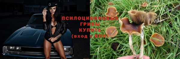 ГАЛЛЮЦИНОГЕННЫЕ ГРИБЫ Бугульма