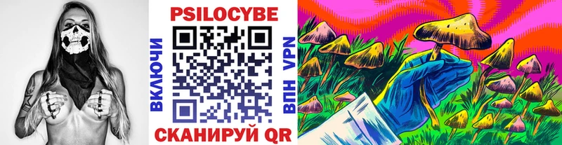 где купить наркоту  Сланцы  маркетплейс официальный сайт  Галлюциногенные грибы Magic Shrooms 