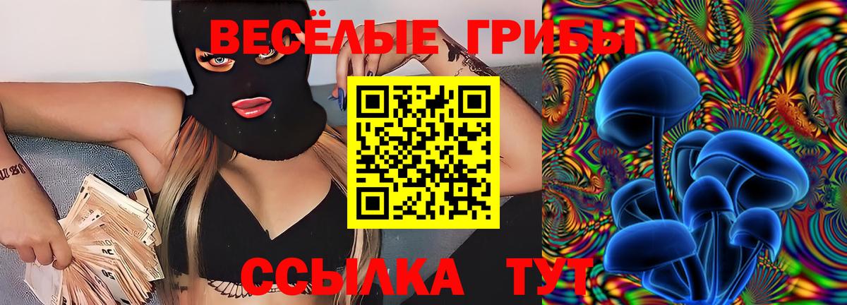 Псилоцибиновые грибы MAGIC MUSHROOMS Сланцы